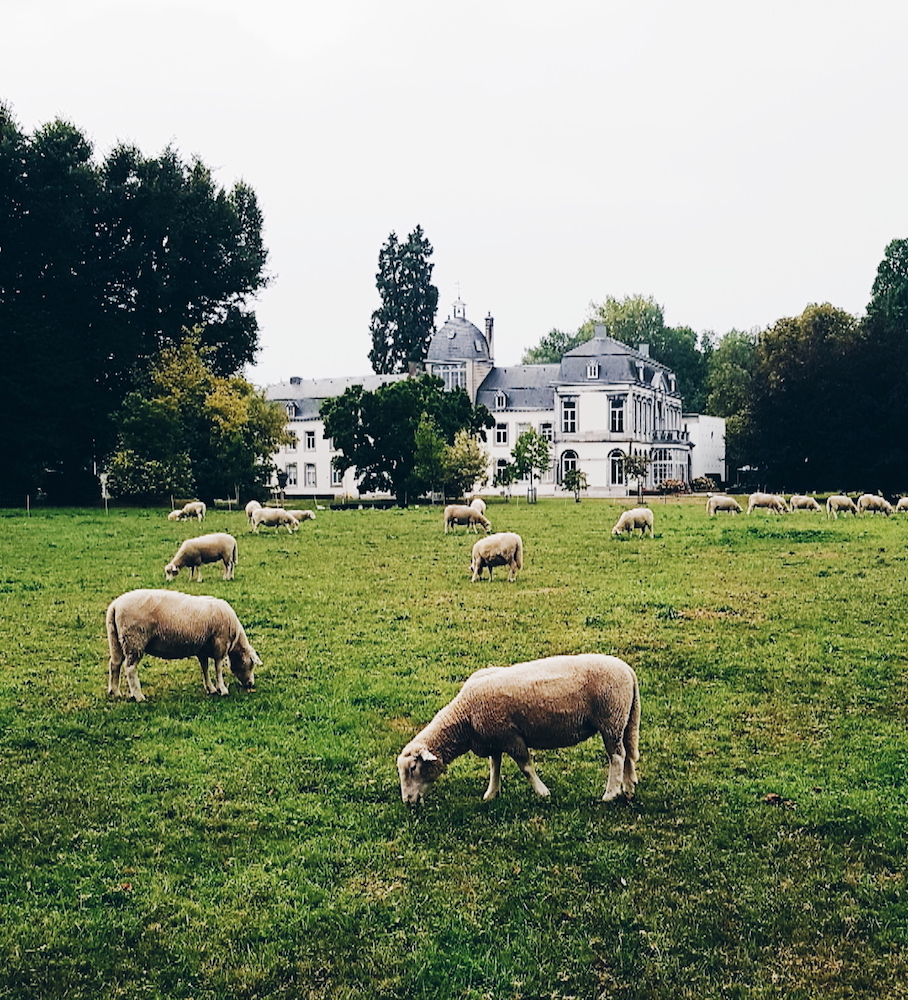 Slapen in Maastricht? Heerlijk overnachten bij Buitenplaats Vaeshartelt!