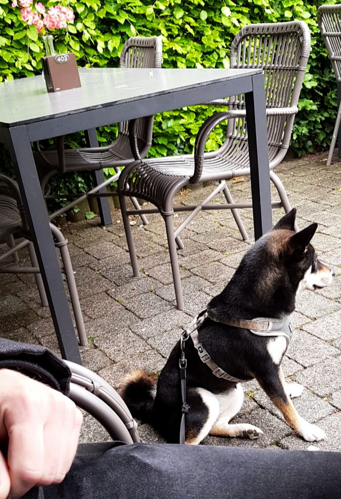 Park-Sonsbeek-Arnhem-TravelGloss